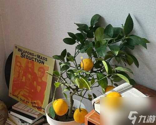 游戏中的奇幻之旅——妄想山海柠檬树的分布与探索 探秘柠檬树的神秘世界