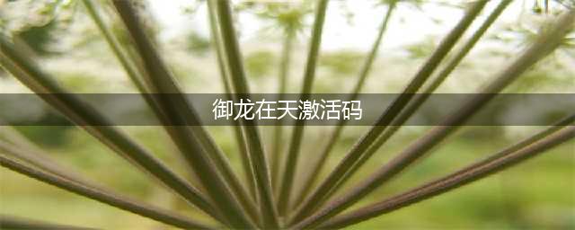 御龙在天手游礼包领取大全 礼包和激活码预定攻略