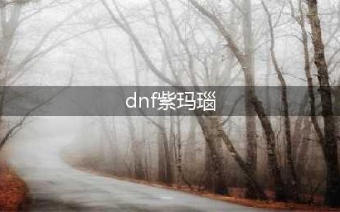 DNF紫玛瑙怎么搜索如何购买方法讲解