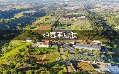 《王者荣耀》s9赛季皮肤是什么 s9赛季皮肤介绍(s9赛季皮肤)