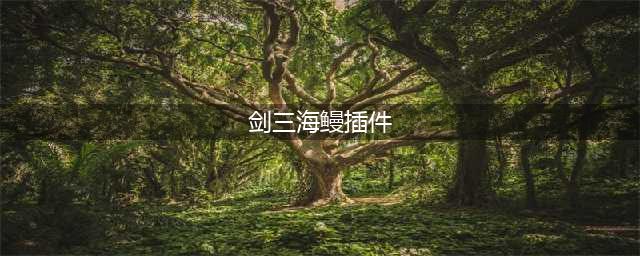 《剑网3》海鳗插件没了怎么办 海鳗插件没了解决方法(剑三海鳗插件)