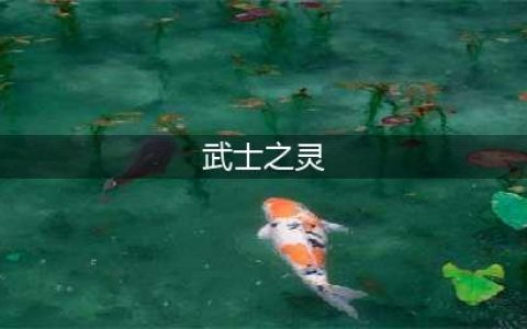 《阴阳师百闻牌》武士之灵怎么样 武士之灵卡牌图鉴(武士之灵)