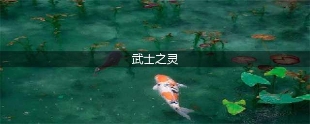 《阴阳师百闻牌》武士之灵怎么样 武士之灵卡牌图鉴(武士之灵)