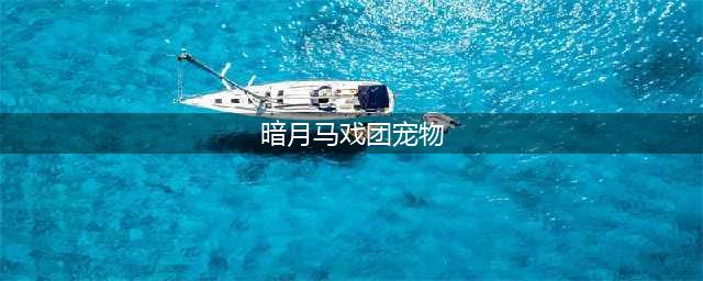 《魔兽世界》8.15暗月马戏团宠物获取攻略 暗月马戏团宠物怎么得(暗月马戏团宠物)