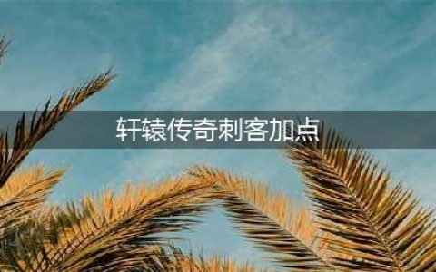 《轩辕传奇手游》刺客技能怎么加点 刺客技能加点介绍(轩辕传奇刺客加点)