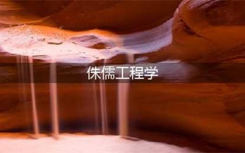 魔兽世界侏儒工程学怎么学