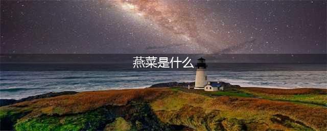 《食物语》牡丹燕菜怎么样 牡丹燕菜资料详解(燕菜是什么)