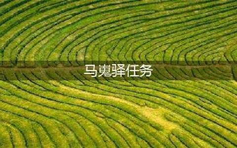 《武林闲侠》江湖马嵬驿藏宝图任务完成攻略 马嵬驿如何过