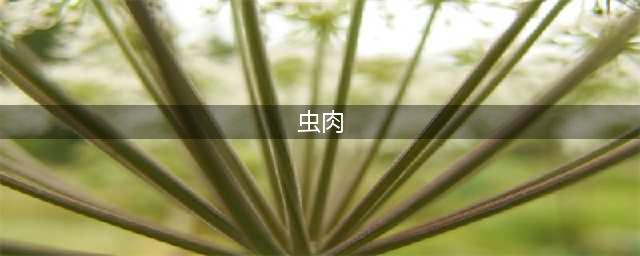 《星露谷物语》虫肉怎么刷 1.5虫肉速刷攻略(虫肉)