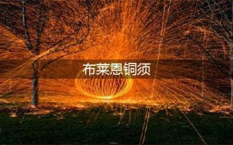 《魔兽世界怀旧服》布莱恩·铜须的信任务怎么做 布莱恩·铜须的信任务攻略(布莱恩铜须)