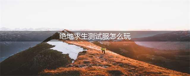 《绝地求生全军出击》第一人称视角测试服怎么玩(绝地求生测试服怎么玩)