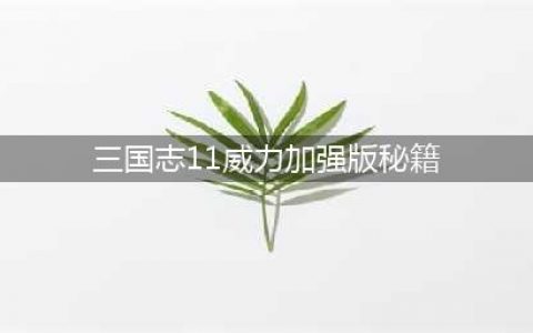 三国志11威力加强版秘籍 火攻技巧(三国志11威力加强版秘籍)