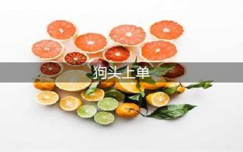 《LOL》9.19狗头怎么玩 狗头上单加点出装攻略(狗头上单)