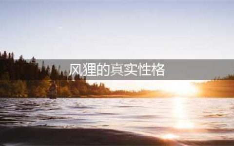 《阴阳师》风狸真实的性格是什么 铃鹿山的考验答案一览(风狸的真实性格)