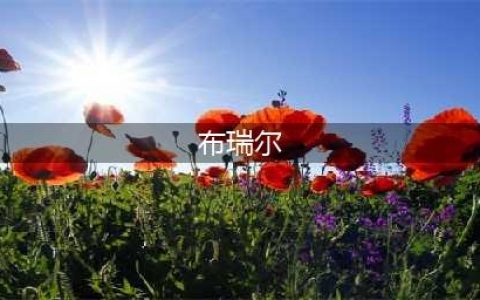 《魔兽世界》布瑞尔在哪 布瑞尔位置及寻找方法(布瑞尔)