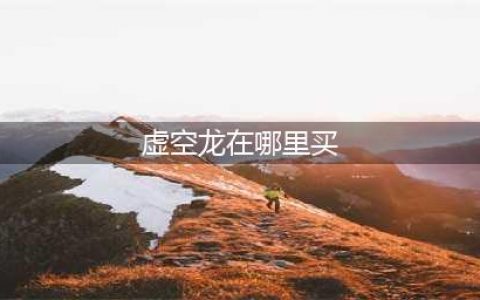 魔兽世界虚空龙在哪买