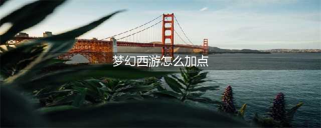 《梦幻西游》怎么加点战斗才最强 各门派加点分析(梦幻西游怎么加点)