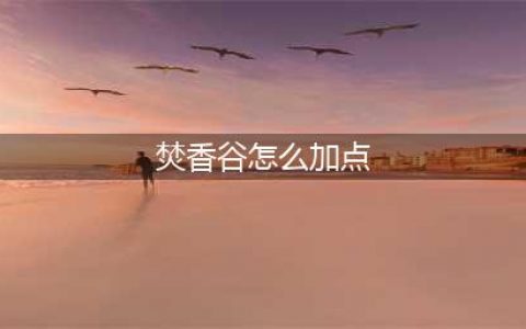 《梦幻新诛仙》梵香谷加点怎么加 焚香谷加点分享(焚香谷怎么加点)