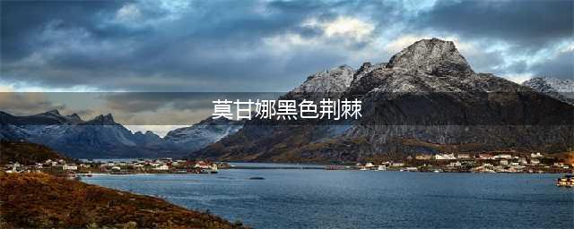 《LOL》黑色荆棘莫甘娜炫彩皮肤怎么样 黑色荆棘莫甘娜炫彩皮肤一览(莫甘娜黑色荆棘)