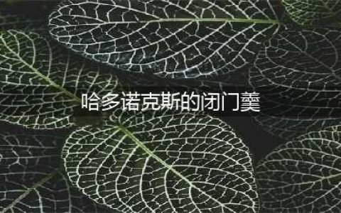 《魔兽世界》怀旧服WLK哈多诺克斯的闭门羹成就获得方法