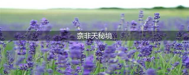 《暗黑破坏神不朽》奈非天秘境开启方法