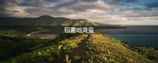 《原神》稻妻地灵龛在哪里 稻妻地灵龛位置大全