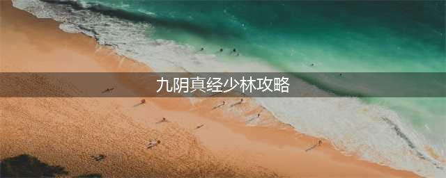 九阴真经少林太祖长拳巡逻教学(九阴真经少林攻略)