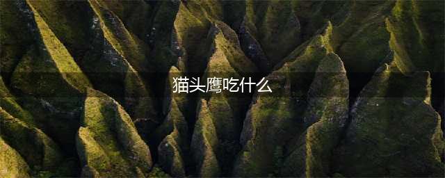 《魔兽世界》猫头鹰吃什么 猫头鹰食物介绍(猫头鹰吃什么)