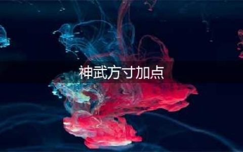 《神武4》方寸山怎么加点 方寸山加点分享(神武方寸加点)