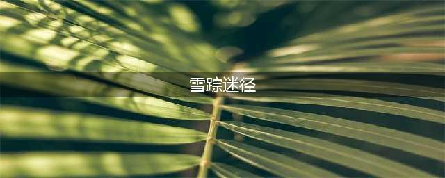 《剑与远征》雪踪迷径怎么过雪踪迷径通关技巧分享(雪踪迷径)