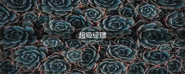 超级经理好玩吗 超级经理玩法简介(超级经理)