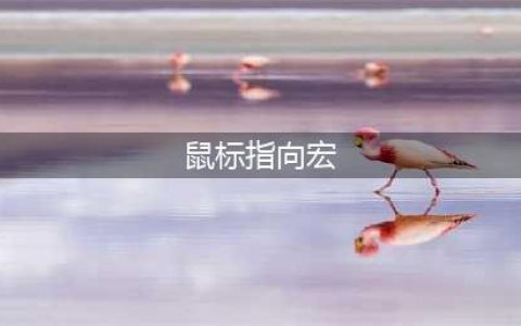 《魔兽世界》鼠标指向宏怎么设置 魔兽世界鼠标指向宏教程