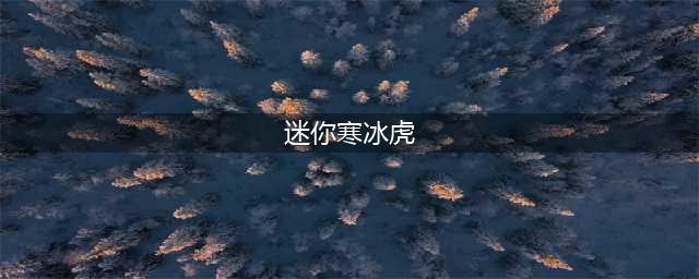 DNF手游宠物迷你寒冰虎属性介绍 迷你寒冰虎属性一览