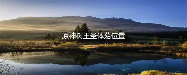 《原神》树王圣体菇位置汇总