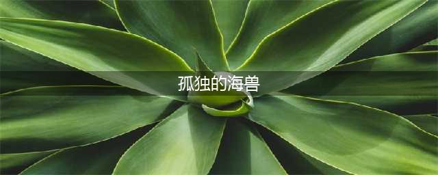 原神孤独的海兽任务怎么做 孤独的海兽任务攻略