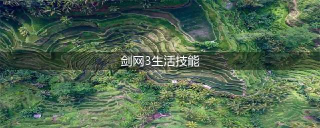 《剑网3》梓匠生活技能介绍 梓匠生活技能学习方法分享(剑网3生活技能)