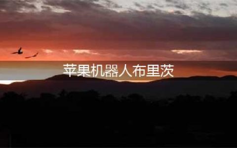 《lol》源代码皮肤有哪些 2022源代码皮肤名单汇总(苹果机器人布里茨)