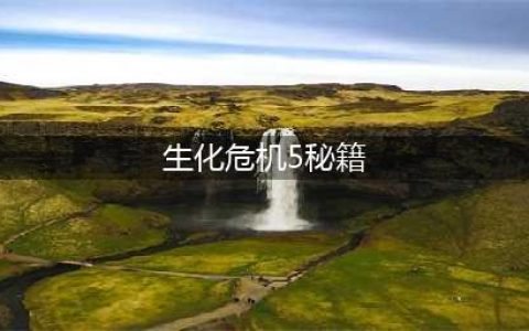 生化危机5最快的刷钱方法是什么 最强秘籍攻略(生化危机5秘籍)