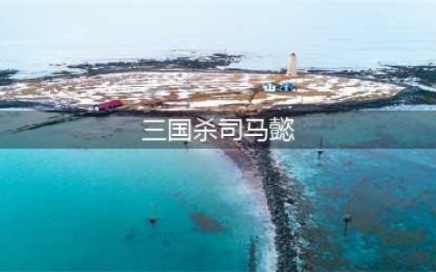 《三国杀》司马懿技能怎么样 司马懿技能介绍(三国杀司马懿)