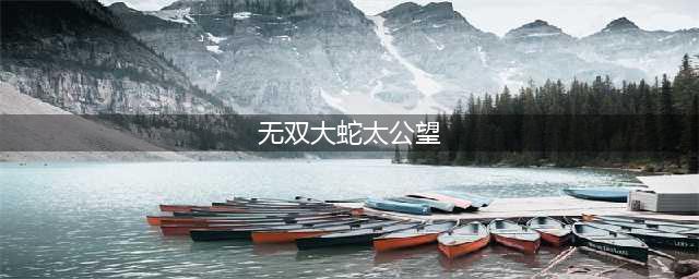 《无双大蛇3》太公望怎么玩 太公望玩法攻略(无双大蛇太公望)