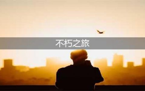 不朽之旅攻略 不朽之旅攻略流派推荐平民玩家流派怎么选