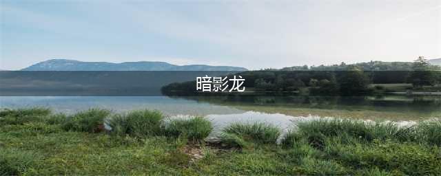 梦幻西游手游暗影龙怎么打 暗影龙打法攻略(暗影龙)