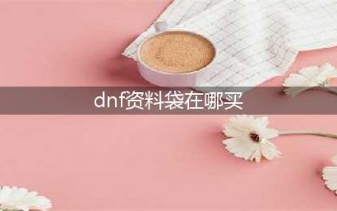 《dnf》资料袋有什么用 dnf资料袋在哪里买(dnf资料袋在哪买)
