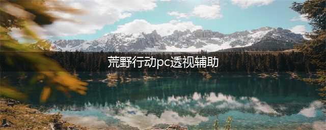 荒野行动PC端辅助介绍 PC端辅助有哪些？(荒野行动pc透视辅助)