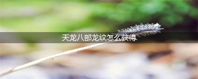 《新天龙八部手游》龙纹怎么升级 龙纹等级星级玩法介绍(天龙八部龙纹怎么获得)