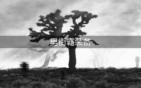 男街霸装备 男街霸装备选择