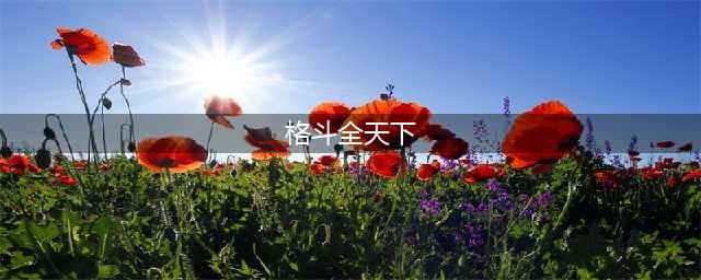 《格斗天下》武将搭配(格斗全天下)