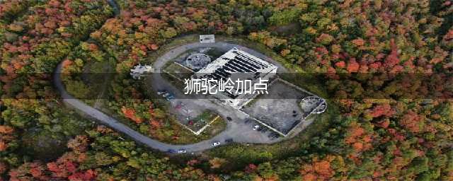 梦幻西游狮驼岭怎么加点 狮驼岭加点攻略(狮驼岭加点)