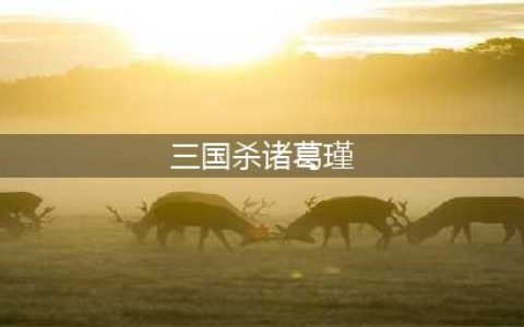 三国杀诸葛瑾技能大全一览(三国杀诸葛瑾)