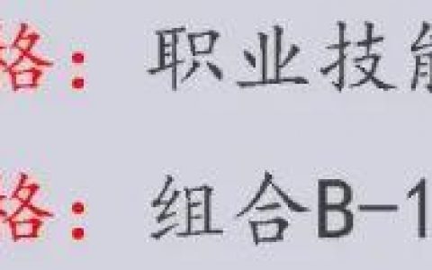 小鸡舰队出击技能组合技巧推荐